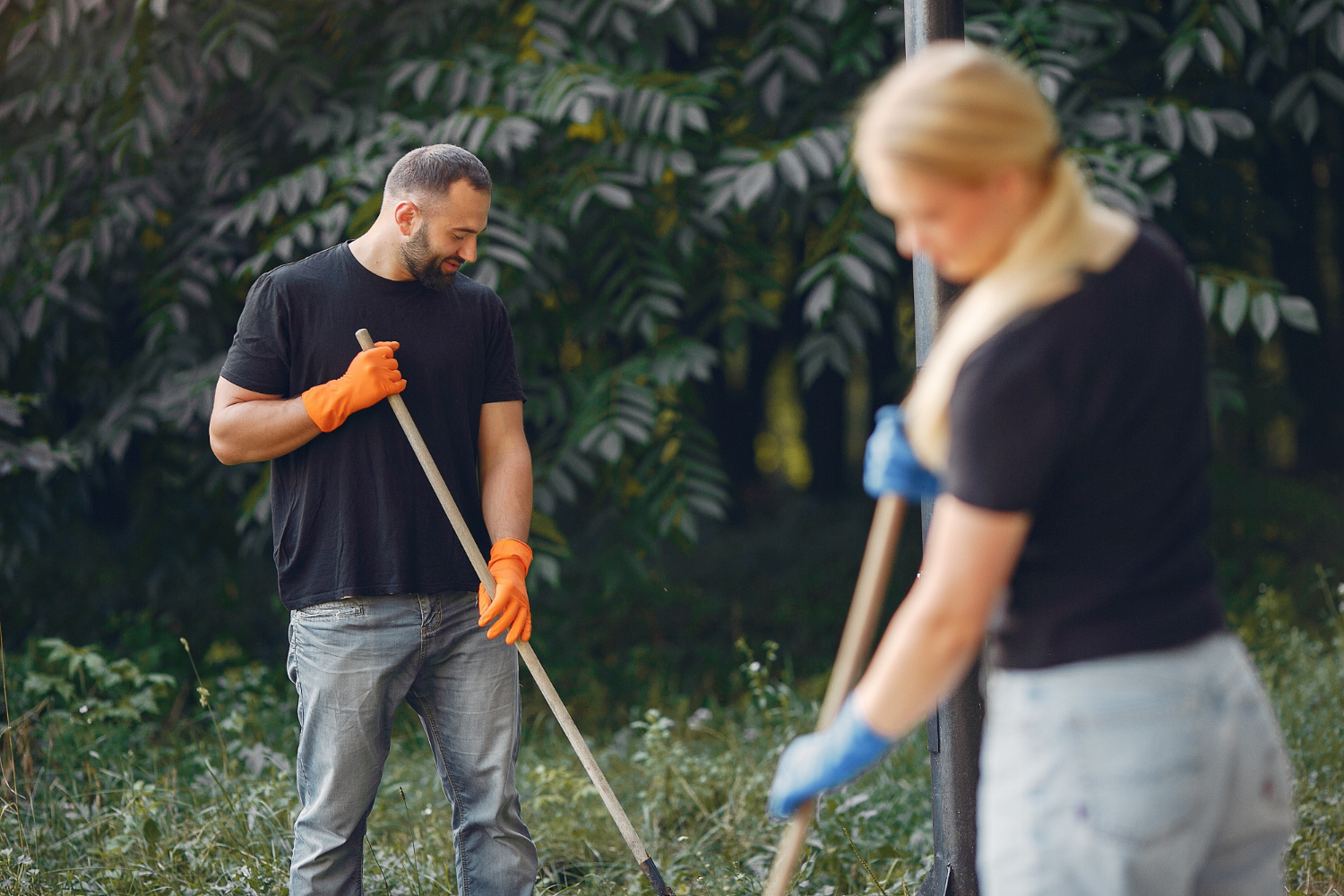 Tutores limpando quintal para evitar o mosquito palha transmissor da leishmaniose felina